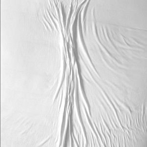 Meet your Posher, Lizzy